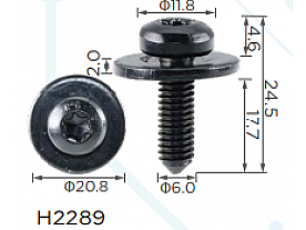 H2289