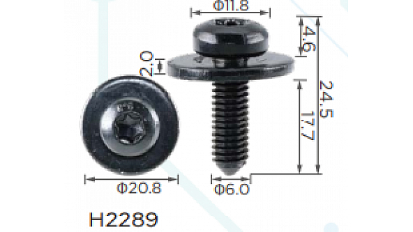 H2289