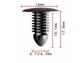 C1004