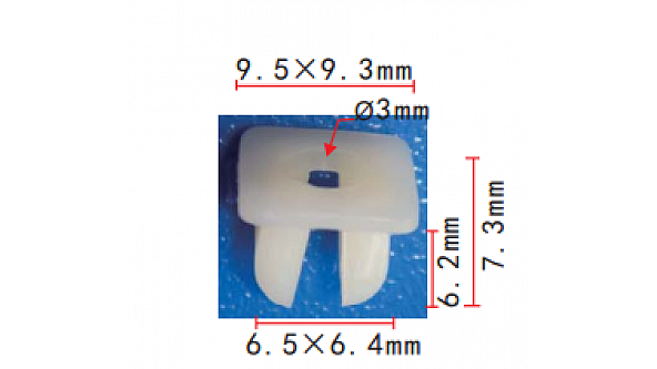 C0025