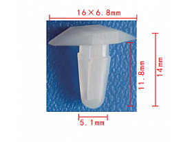 C0065