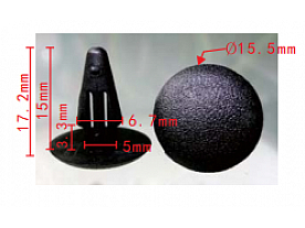 C0096