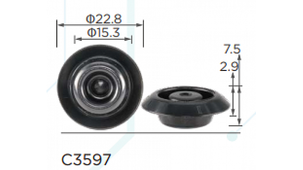 C3597